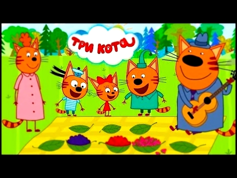Три кота   Пикник Играем вместе Собираем ягоды и грибы Мультик игра для детей RAINBOW TV 