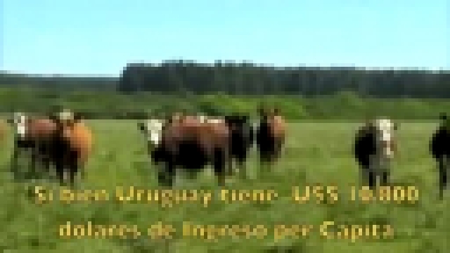Музыкальный видеоклип Уругвай. Самое экологически чистое место на планете. 