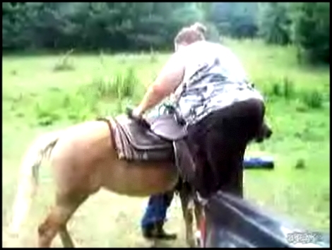 Бегемот ломает позвоночник лошадке 