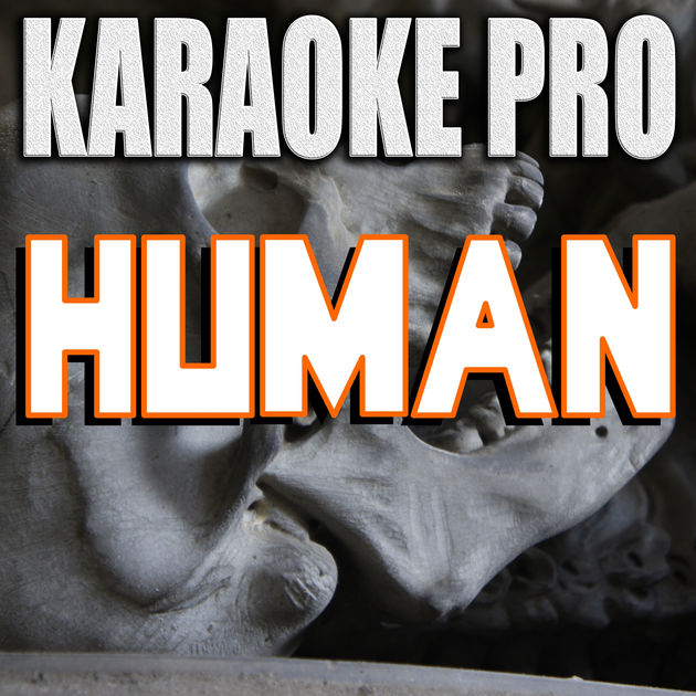 Human (Originally Performed By Rag 'n' Bone Man) фото Sunfly Karaoke