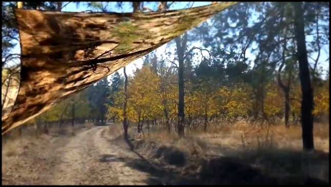 Музыкальный видеоклип 201). Красота природы. Осенний лес. Осень золотая (12.10.17) 
