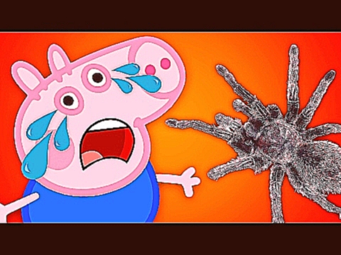 Свинка Пеппа смотреть как огромный страшный паук нападает на Джорджа мультфильм онлайн для детей 