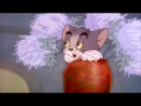 Tom and Jerry Episode 4   Fraidy Cat Part 1 - Cartoon For Kid 