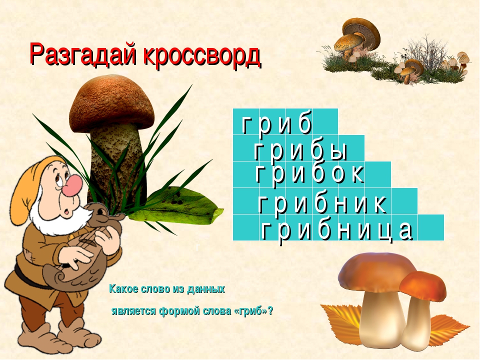Собери слова грибы. Форма слова гриб. Слова родственники к слову гриб. Вопрос к слову гриб. Слово гриб с приставкой.