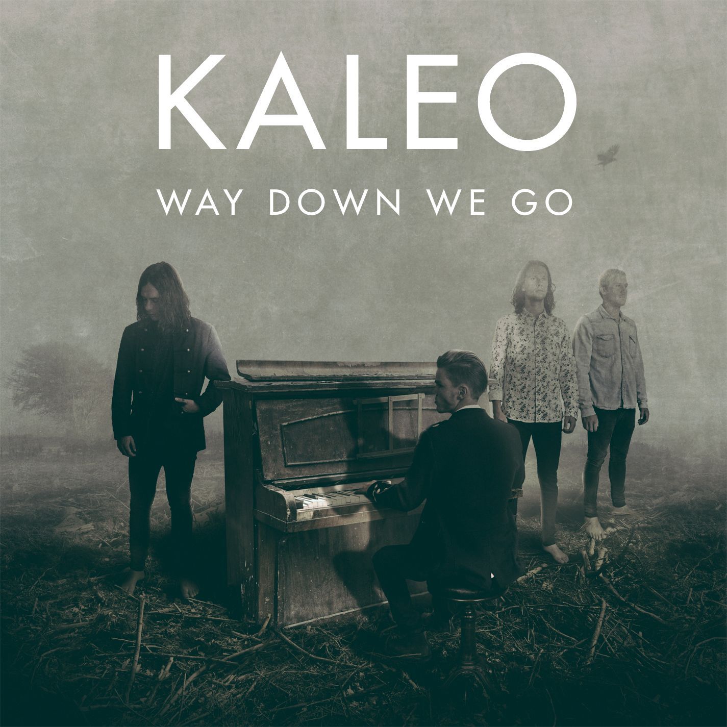 Way Down We Go (Instrumental) фото Kaleo